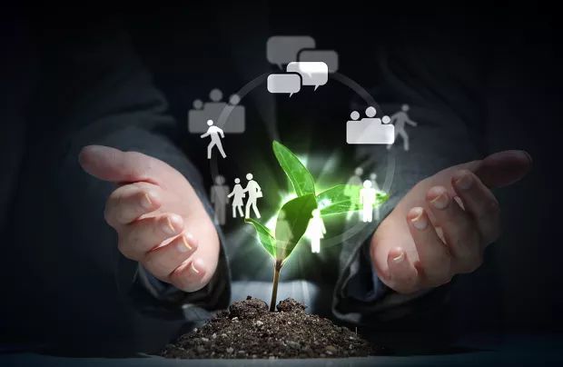 Buy Zillow, Sprout Social as AI Redefines Internet Services 