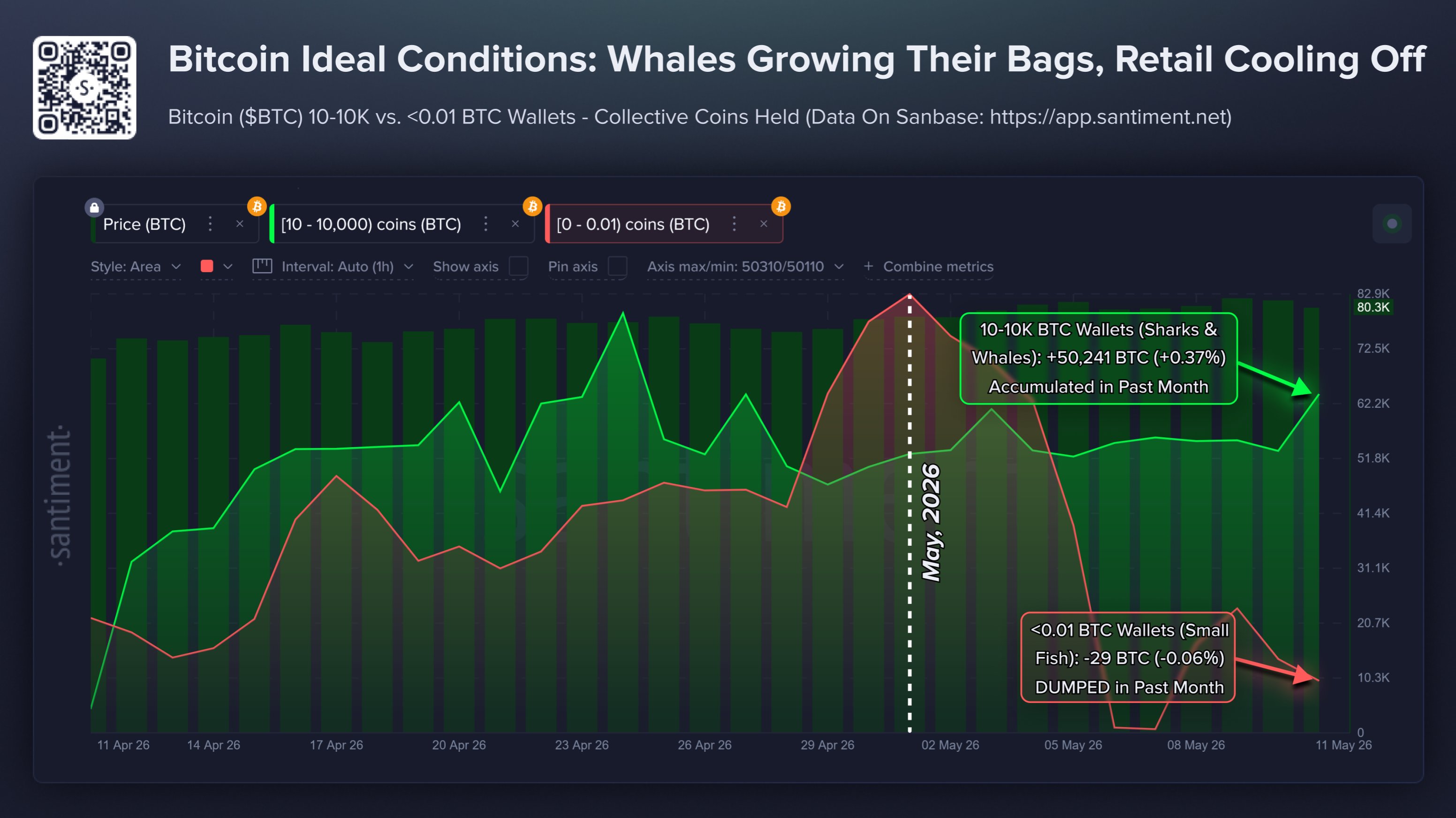 Bitcoin Sharks & Whales
