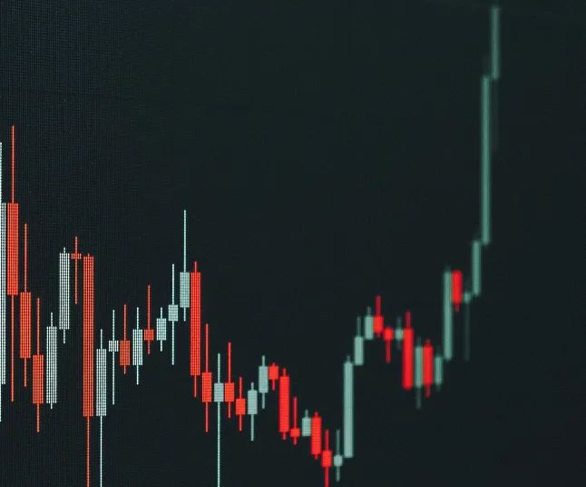 Could XRP Hit $10 This Bull Run? World’s Highest IQ Holder Thinks So