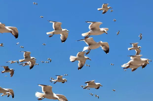 Arrow Electronics (ARW) Surges 10.6%: Is This an Indication of Further Gains?