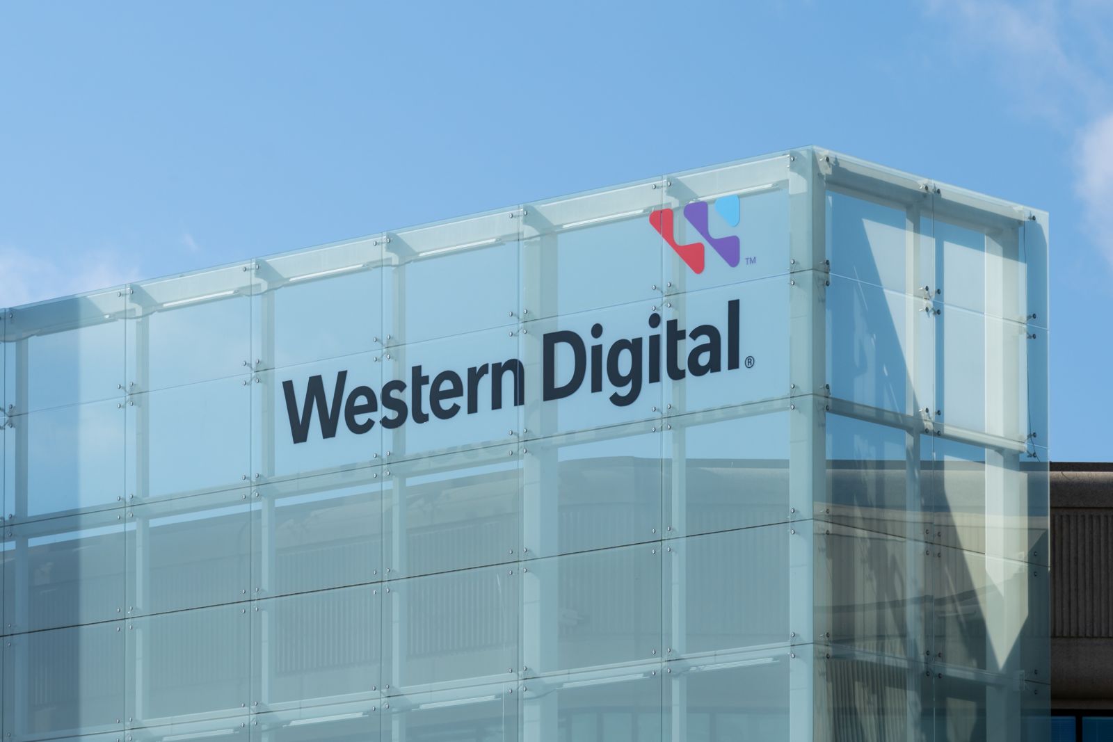 Are Wall Street Analysts Predicting Western Digital Stock Will Climb or Sink?