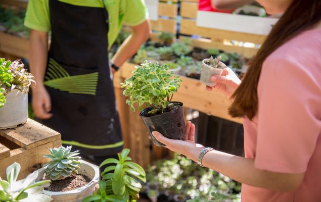 Spectrum Brands' Innovation and Operational Initiatives Aid Growth