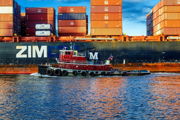 ZIM Q2 Earnings Beat Estimates as Freight Rates and Volume Rise