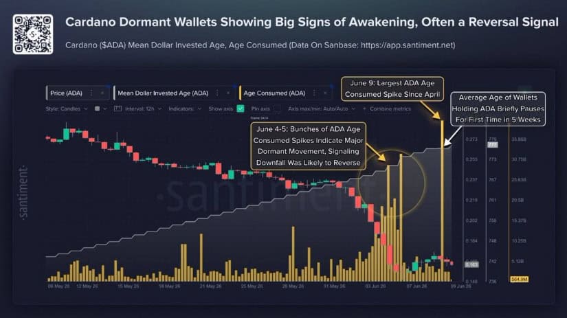 On-Chain Activity Signals Possible Reversal
