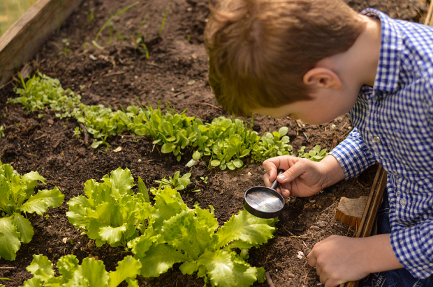 3 AgTech & Food Innovation Stocks to Buy as the Industry Evolves