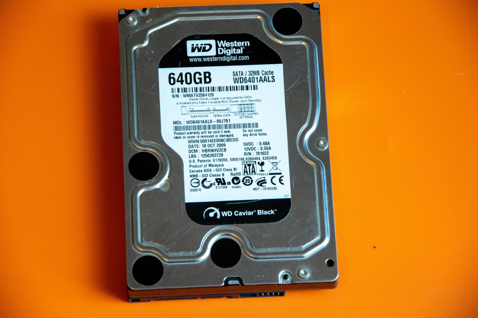 Seagate vs. Western Digital: Which One is The Best AI Storage Play for Dividend Investors?