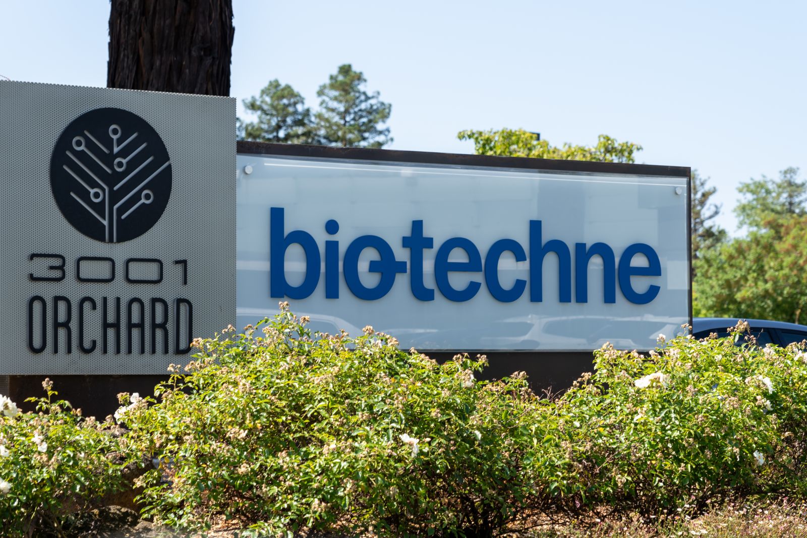 Is Wall Street Bullish or Bearish on Bio-Techne Stock?