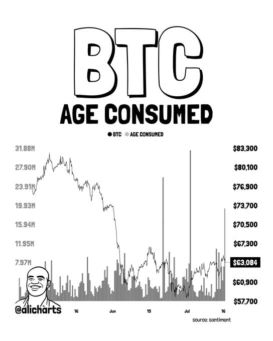 bitcoin btc whale activity chart