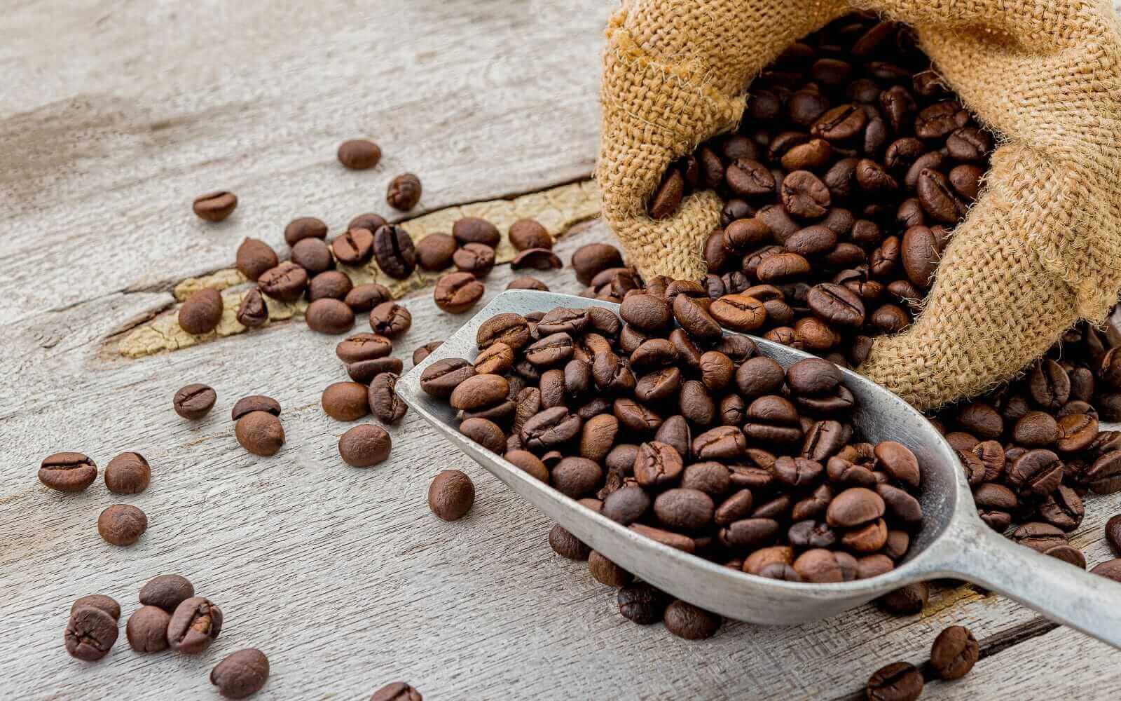 Dollar Strength and Favorable Brazil Crop Outlook Weigh on Coffee Prices