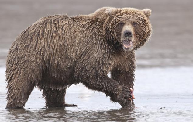 New Strong Sell Stocks for March 3rd