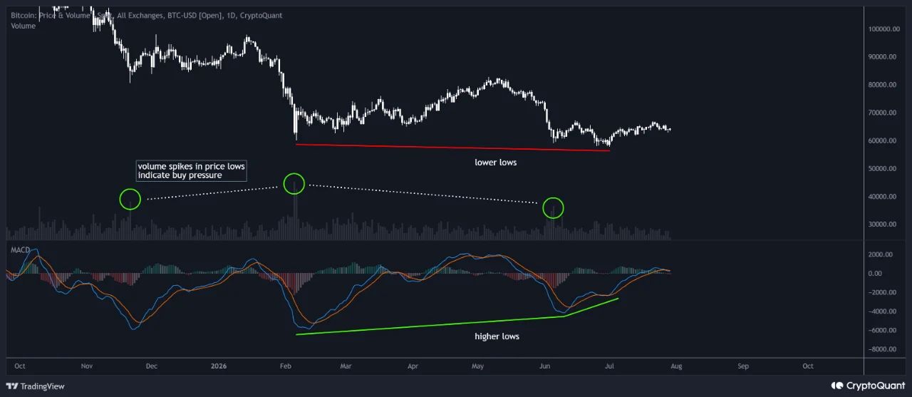 График биткоина с объёмами и индикатором MACD.