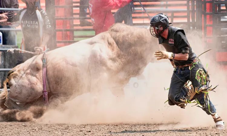 Bitcoin Bull Run Brewing: ATH In Sight By Late 2026: Analyst