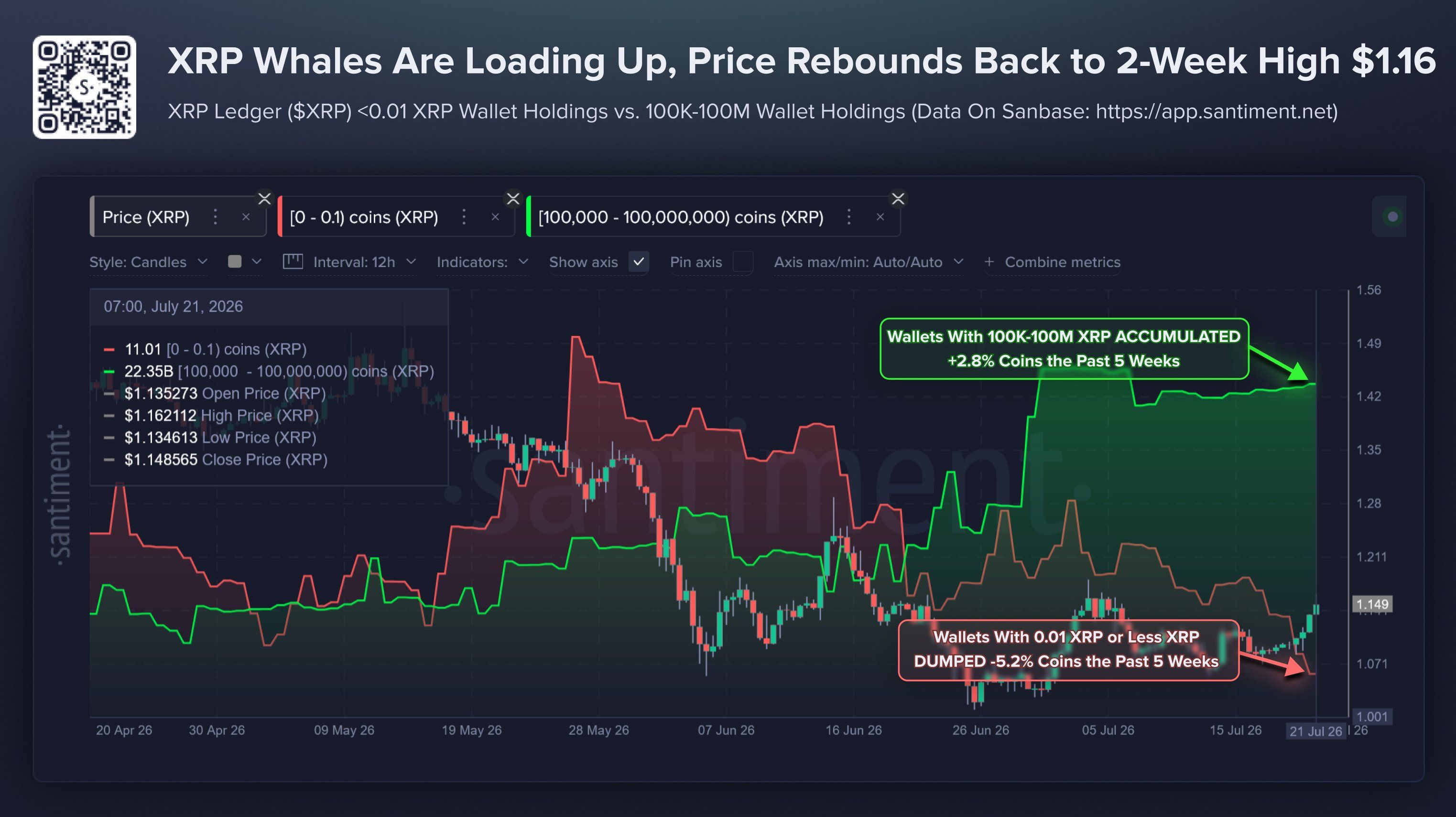 XRP Whale Accumulation