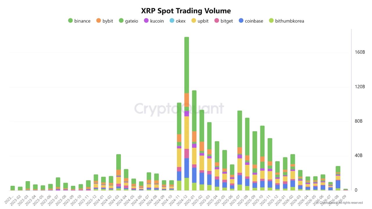 XRPの現物取引高が6カ月ぶりの高水準 出典： CryptoQuant