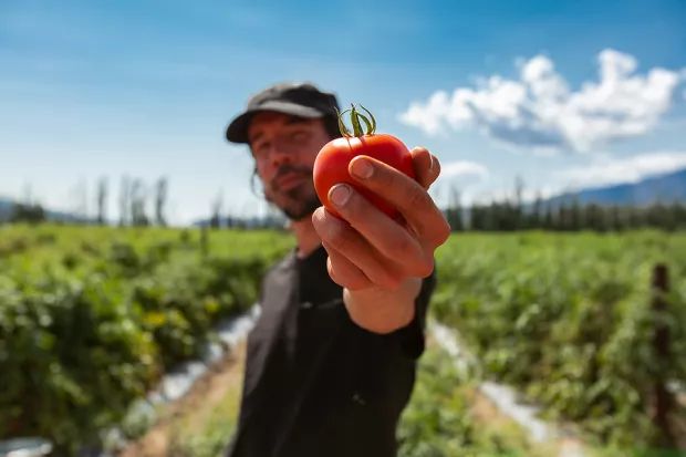 3 AgTech & Food Innovation Stocks to Watch as Food Systems Evolve