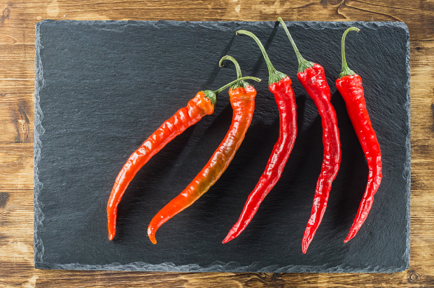 Implied Volatility Surging for HF Foods Stock Options