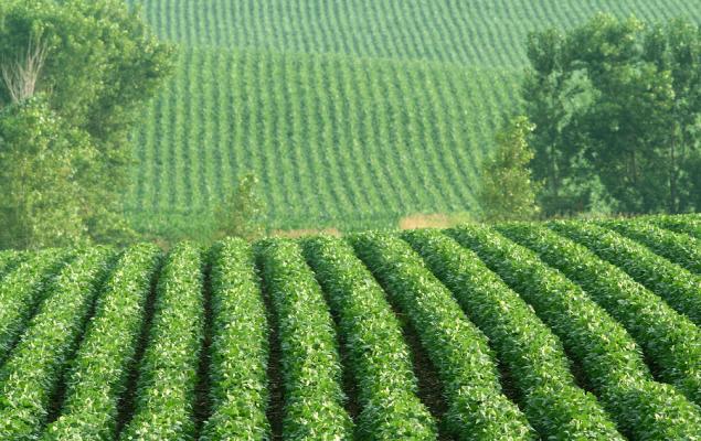 2 Agriculture - Products Stocks to Watch in a Promising Industry