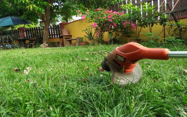 Spectrum Brands Bolsters Growth via Digital & Portfolio Transformation