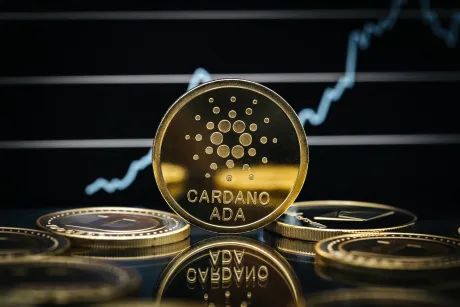 Cardano podría dispararse un 200%: el soporte de $0.24 como catalizador