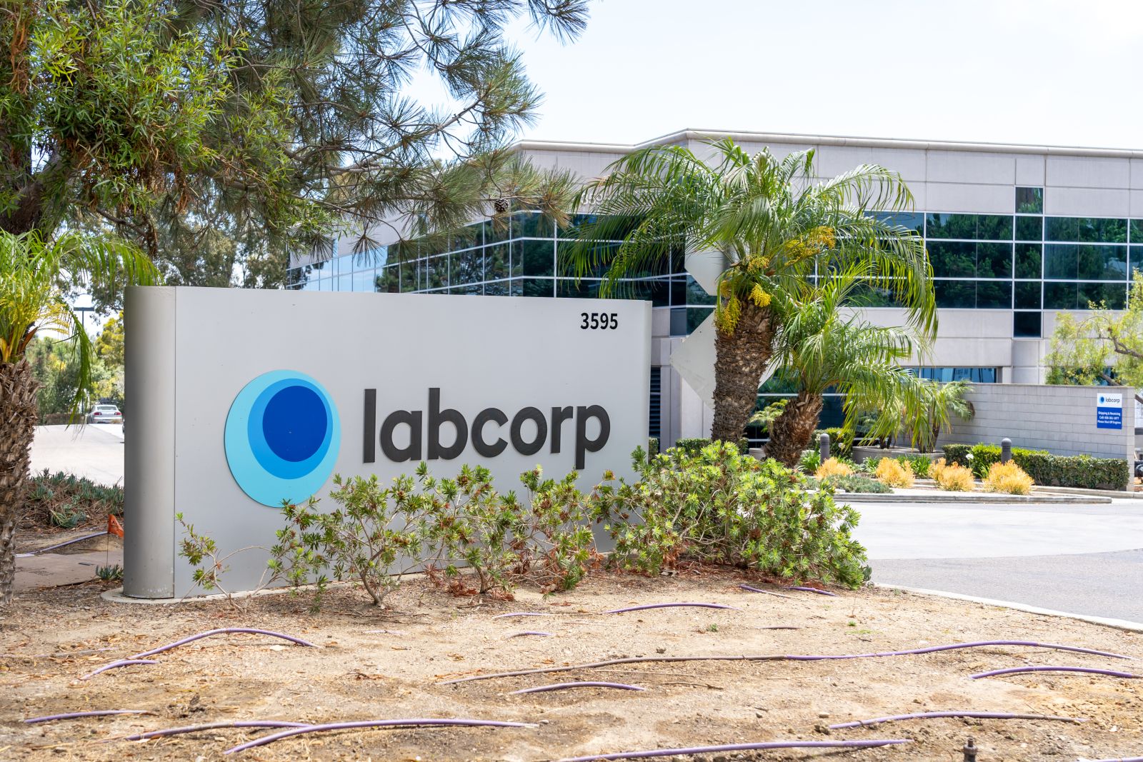 Are Wall Street Analysts Bullish on Labcorp Holdings Stock?