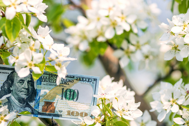 Best Growth Stocks to Buy for April 14th