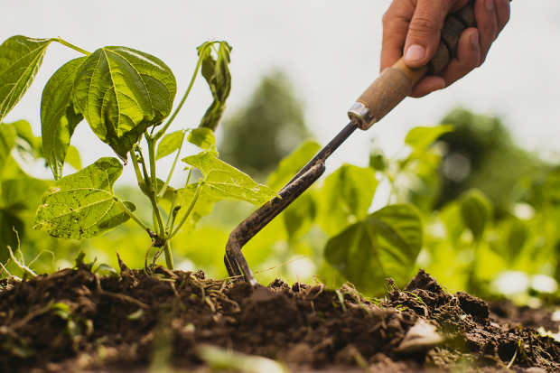 3 AgTech & Food Innovation Stocks With Long-Term Growth Exposure