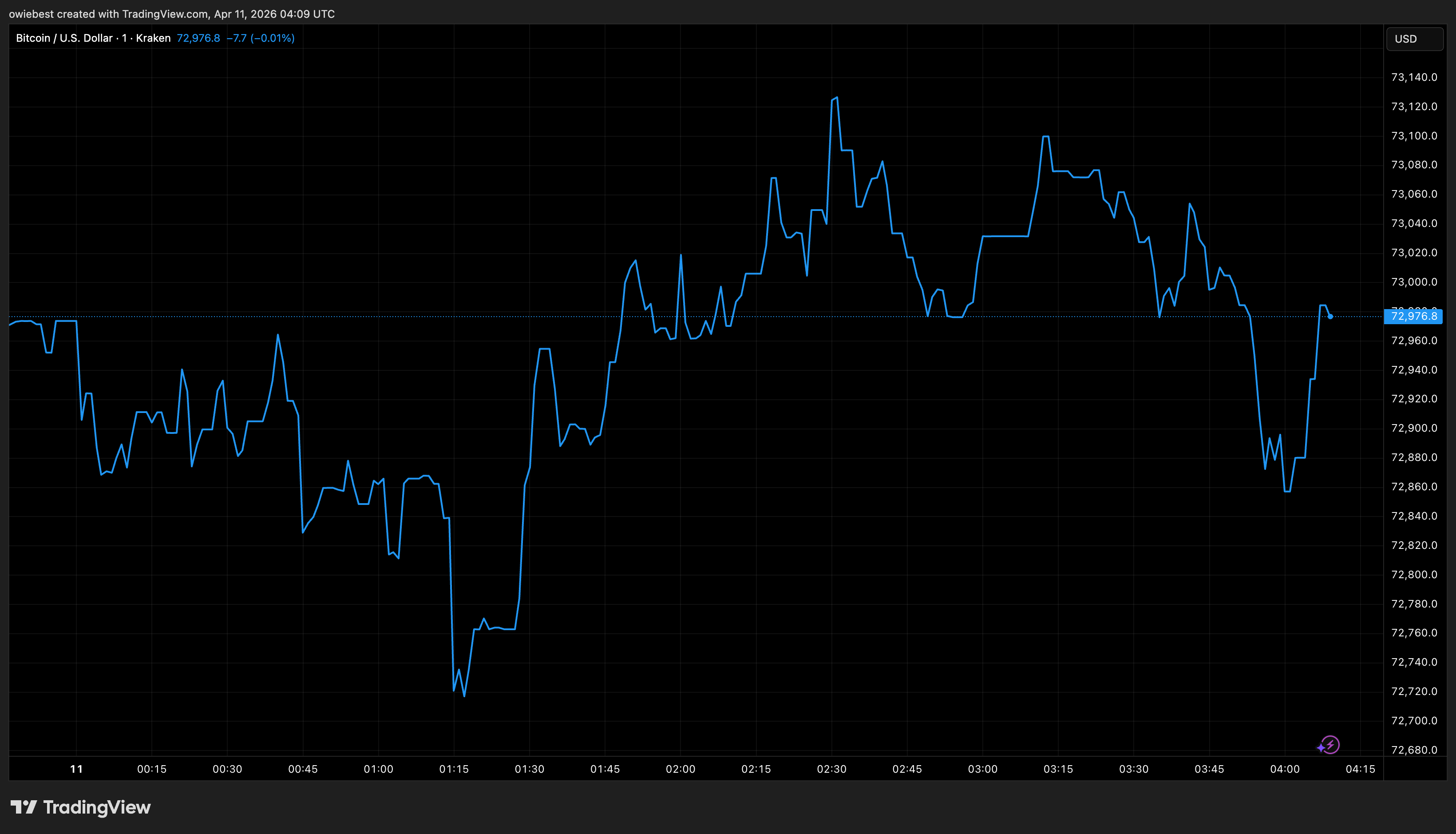 Bitcoin price chart from TradingView.com