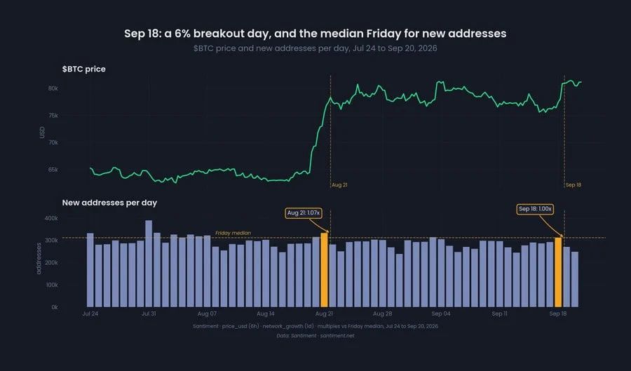 BTC network activity chart
