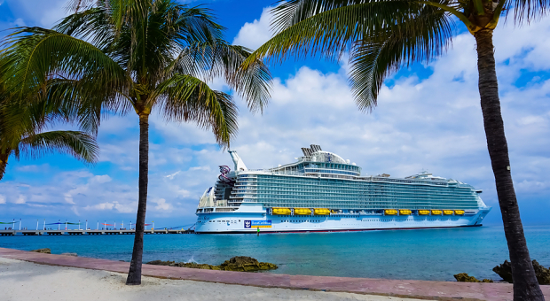 Carnival Reports Record Q1 Sales: Are Cruise Stocks Oversold? 