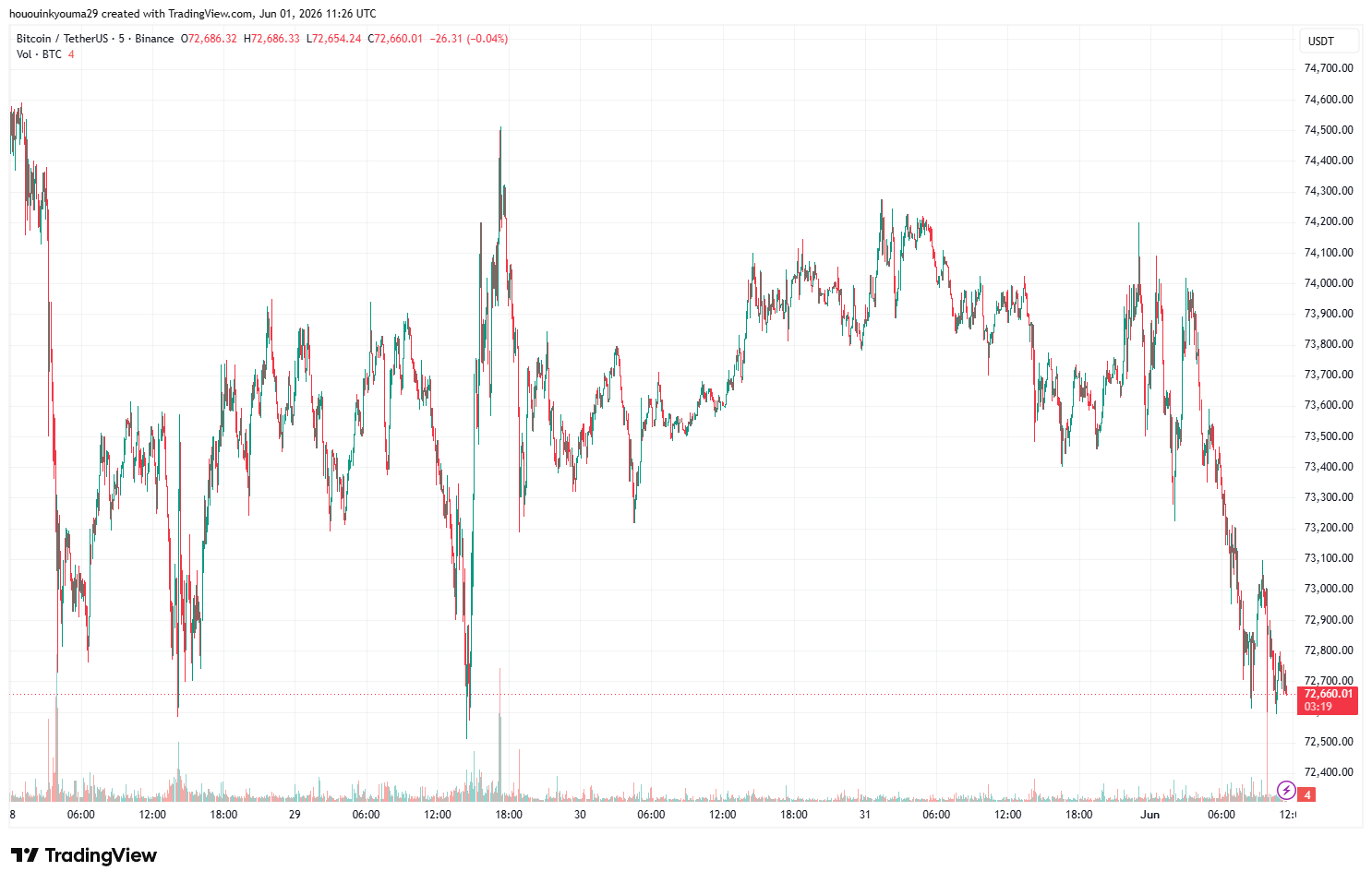 Bitcoin Price Chart