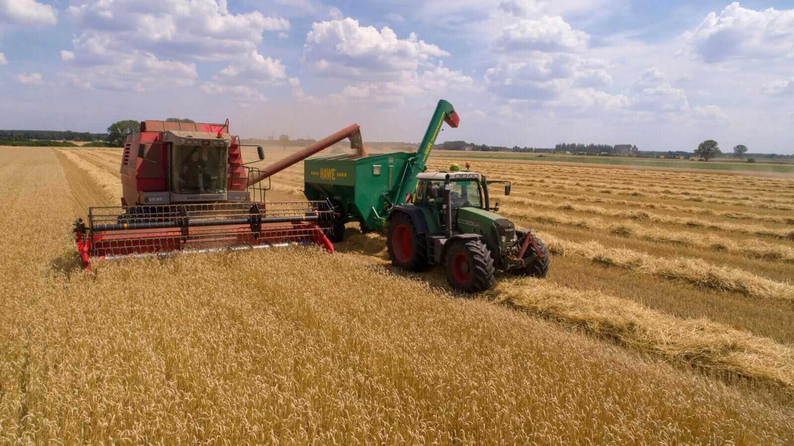Wheat Easing Lower at Monday’s Midday