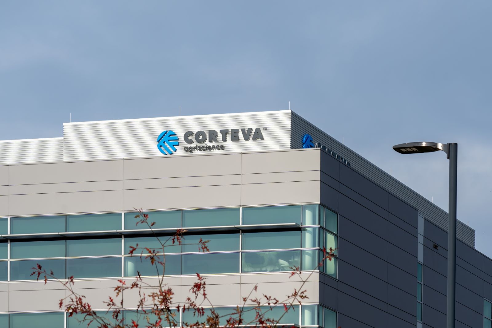 Corteva Stock: Is CTVA Outperforming the Basic Material Sector?