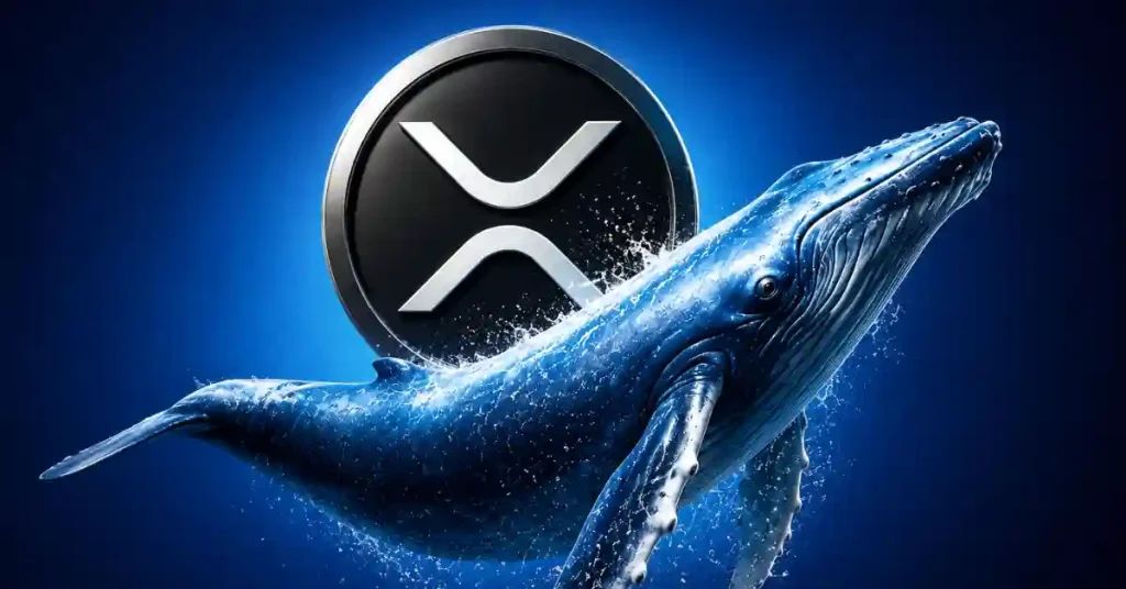 XRP Beats Bitcoin and Ethereum in Investor Demand