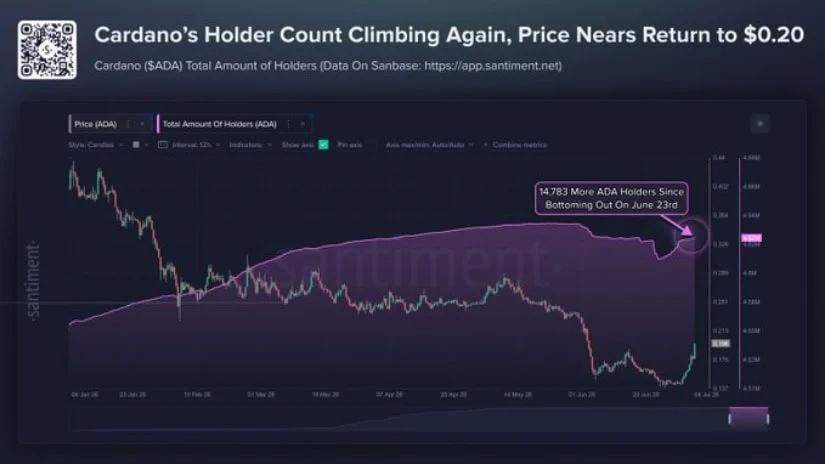 On-Chains Add Support to the Bullish Narrative