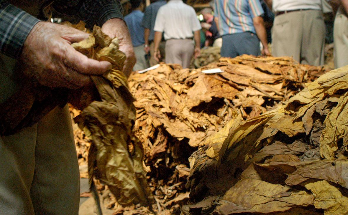 British American Tobacco сократит пятую часть рабочих мест