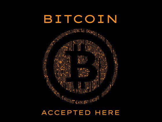 Bitcoin’s Price Is Down 50% — Yet Adoption Has Never Been Stronger