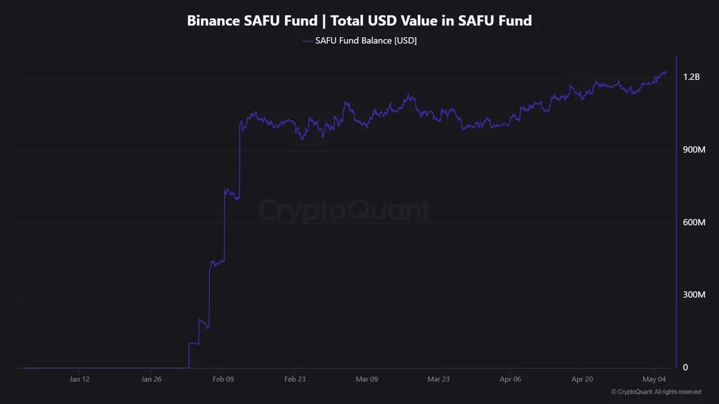 Binance SAFU Fund USD value | Source: CryptoQuant