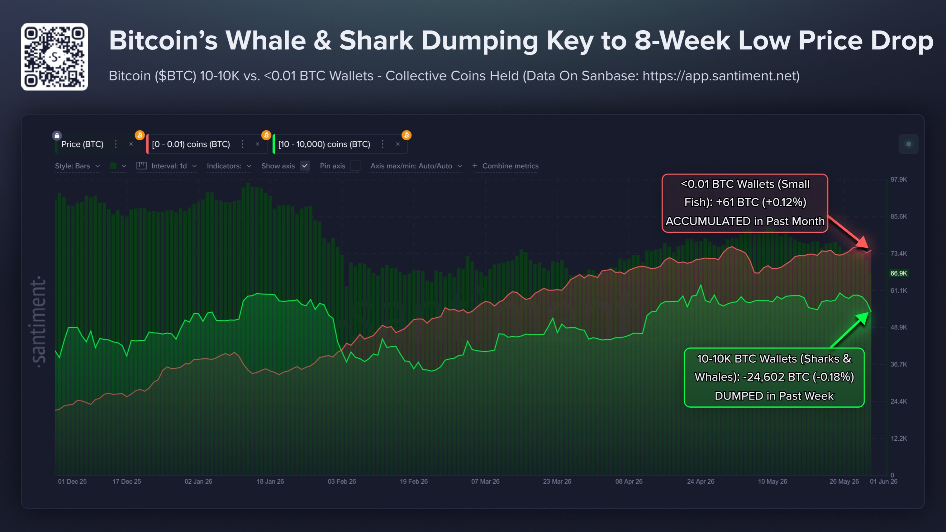 Bitcoin Sharks