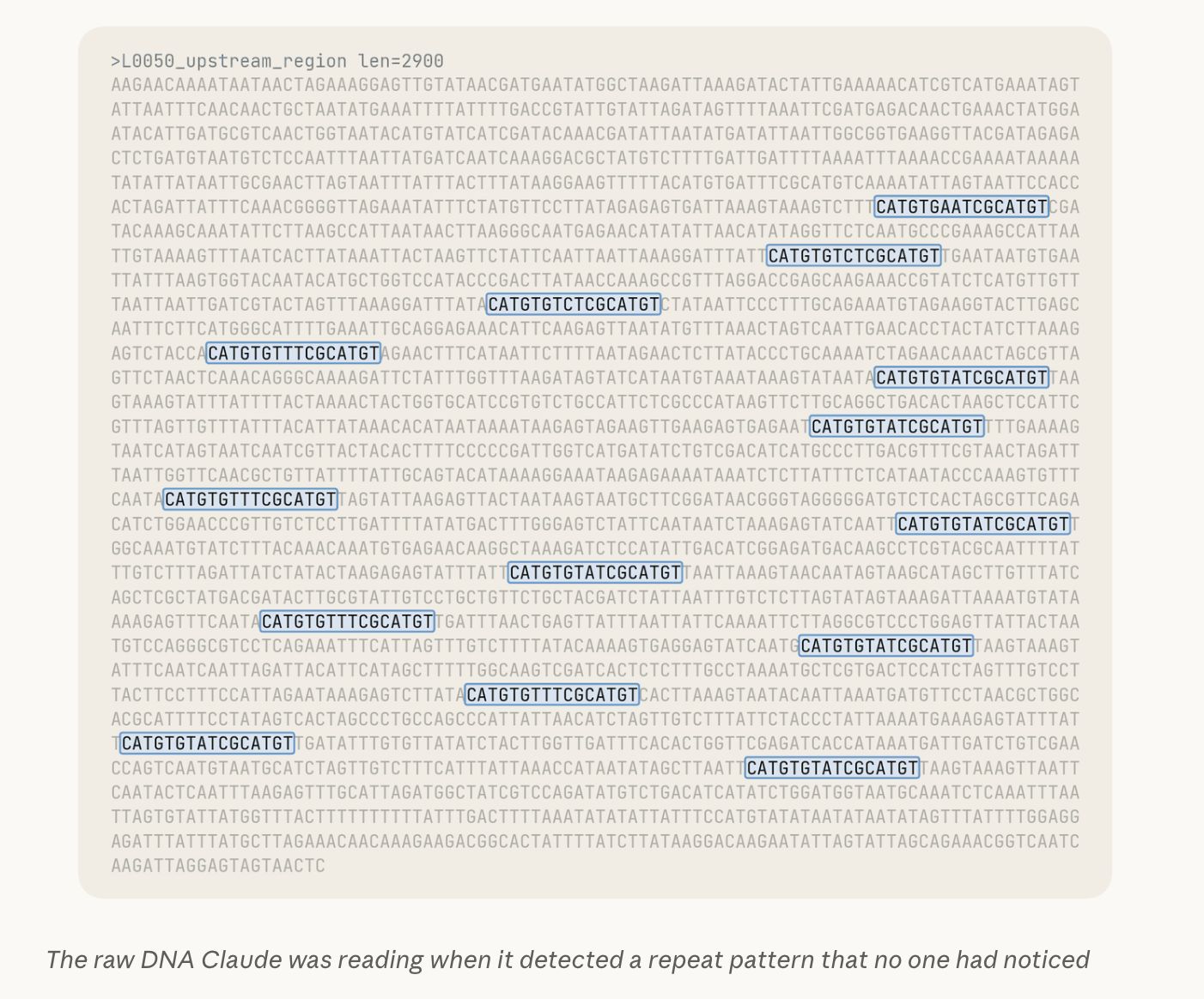 Claude 在原始 DNA 中注意到的重复序列模式。