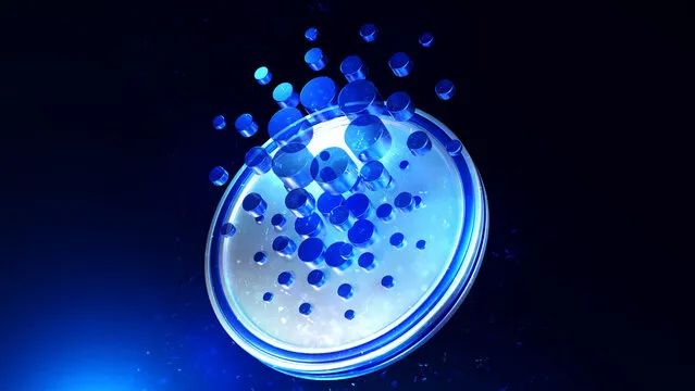 Cardano Founder Blasts Ripple For Playing Dirty With New CLARITY Act, Here’s What He Said