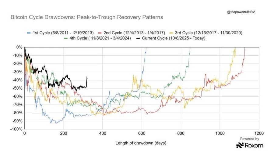 the chart shows Bitcoin’s current cycle has seen just a 10%-15% drawdown