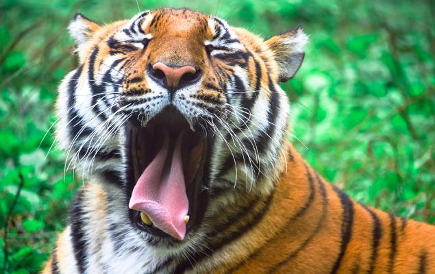 Where Food Comes From Launches RaiseWell Certified Verification