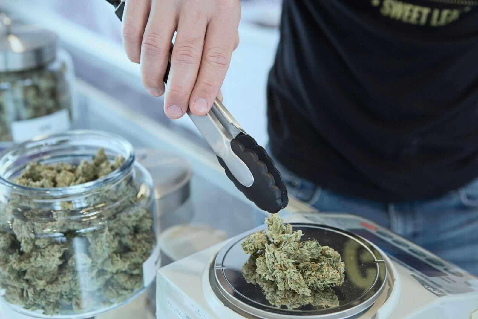 Tilray Stock Pops on New Trump-Driven Cannabis Hopes. Should You Chase the Rally?