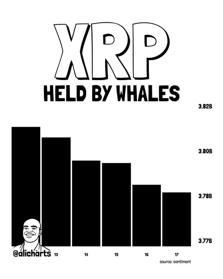 Santiment data indicates XRP whale holdings fell from about 3.82 billion to 3.77 billion tokens between June 13–17, 2026, suggesting over 30 million XRP were distributed during the period