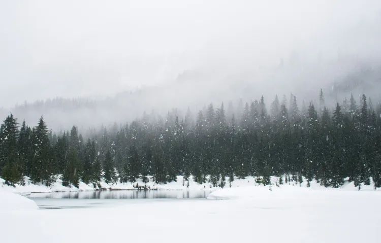 A ‘Sustained’ Crypto Winter? Trading Volume Hits Lowest Levels Since 2023 – Report