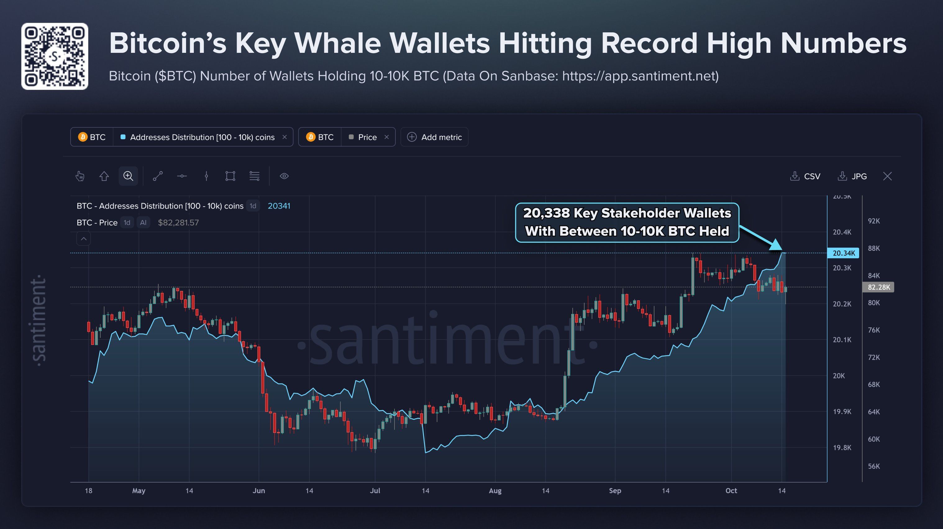 Les wallets Bitcoin détenant entre 10 et 10 000 BTC atteignent un niveau record