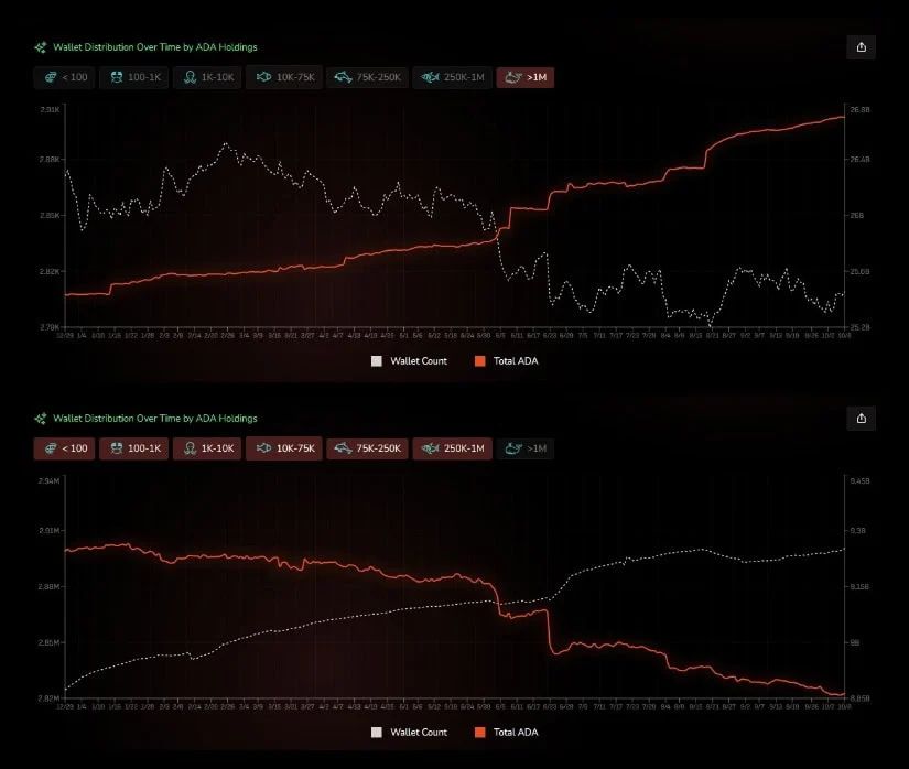 Cardano Whale Activity and Larger Wallet Holdings Build Around $0.25-$0.27