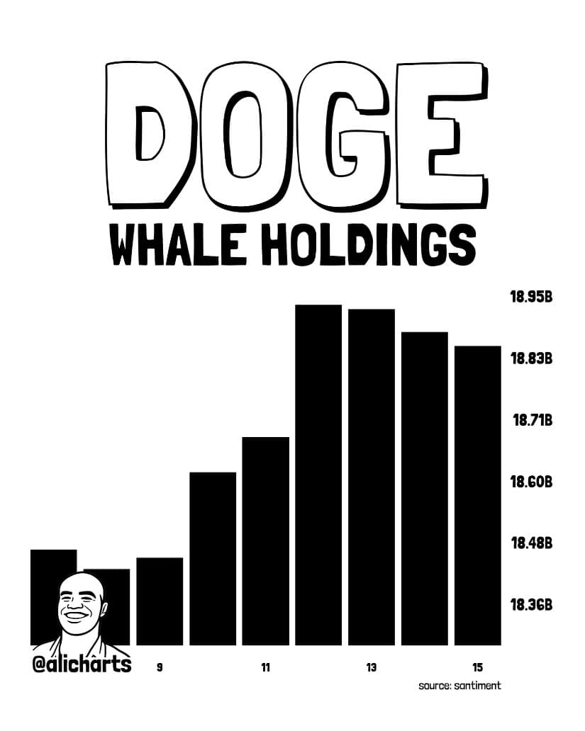 Whale Interest Adds Support to Bullish Dogecoin Outlook
