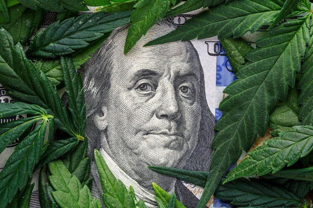 Cannabis Stock ACB Down 19% YTD: Should You Buy the Dip?