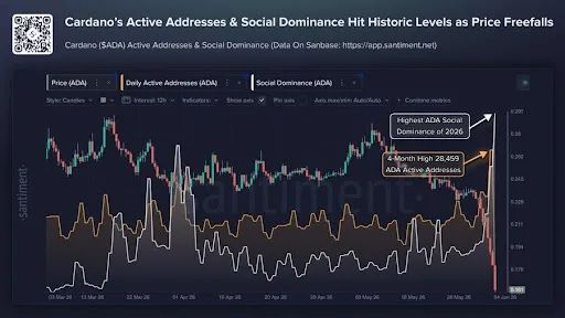 Cardano